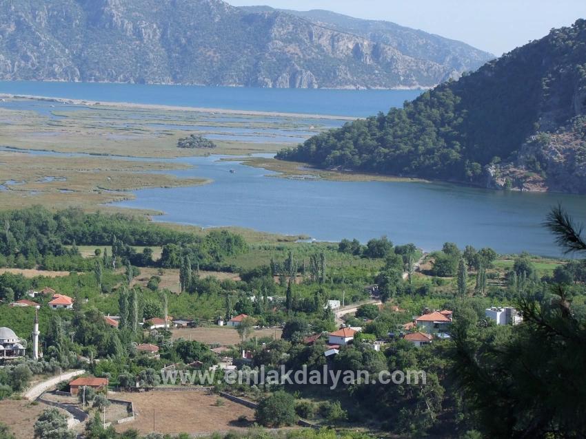 Feld Zu verkaufen in Çandır Bz. Köyceğiz - Feld-Zonierung - 1.252 m²
