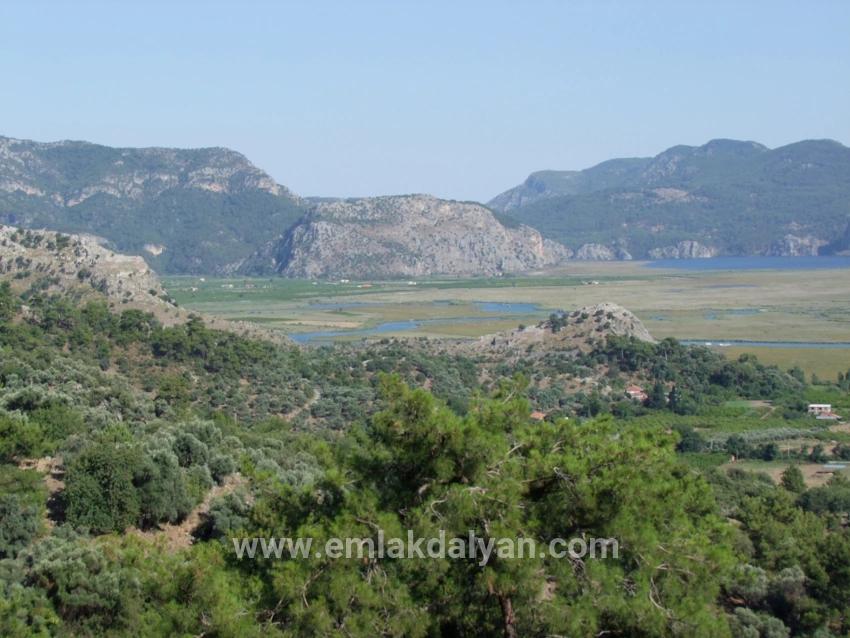 Feld Zu verkaufen in Çandır Bz. Köyceğiz - Feld-Zonierung - 1.252 m²