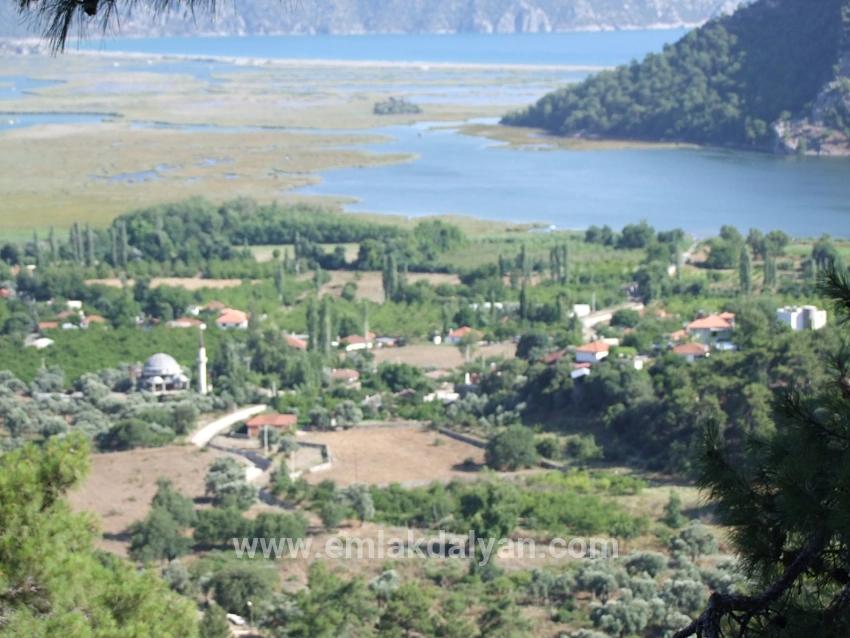 Feld Zu verkaufen in Çandır Bz. Köyceğiz - Feld-Zonierung - 1.252 m²