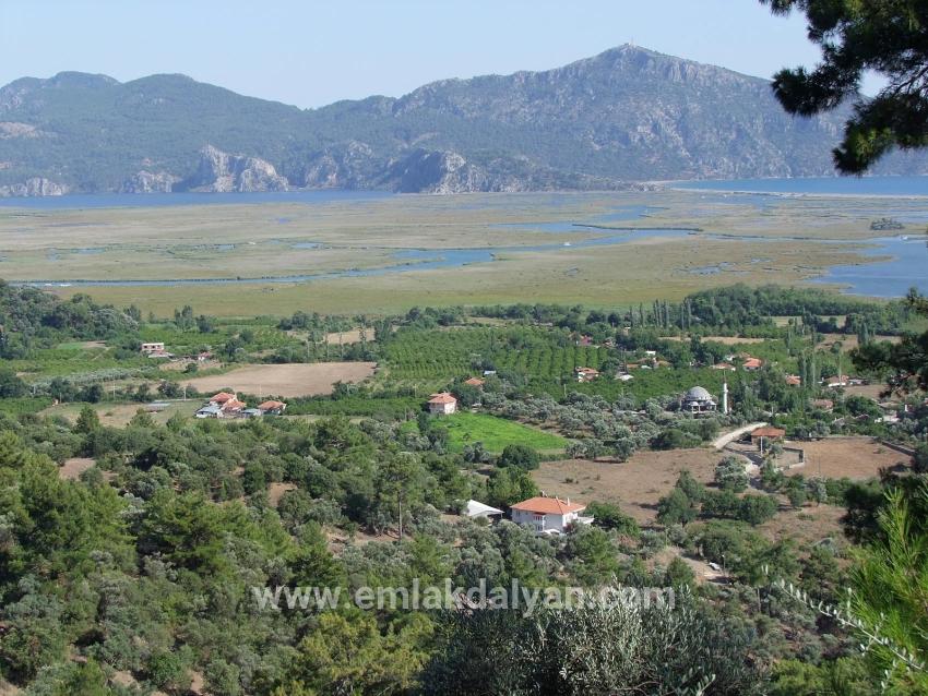 Feld Zu verkaufen in Çandır Bz. Köyceğiz - Feld-Zonierung - 1.252 m²