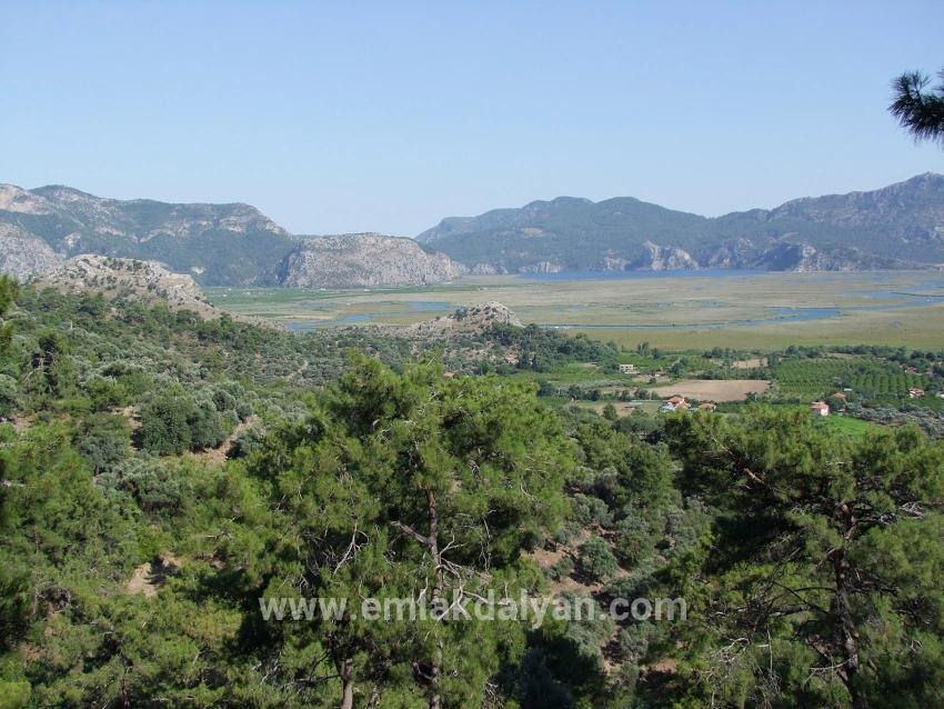 Feld Zu verkaufen in Çandır Bz. Köyceğiz - Feld-Zonierung - 1.252 m²