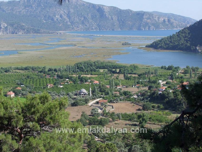 Feld Zu verkaufen in Çandır Bz. Köyceğiz - Feld-Zonierung - 1.252 m²