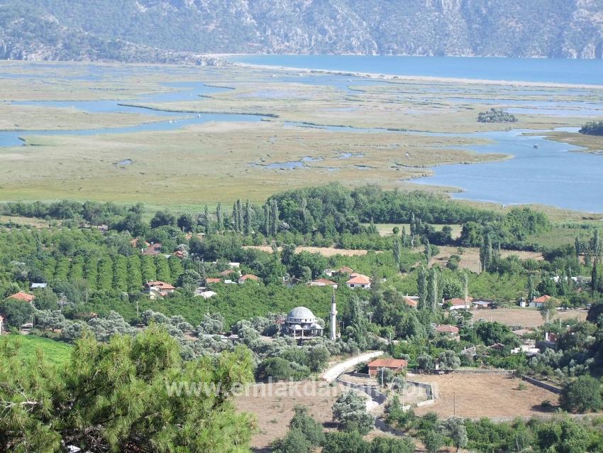 Feld Zu verkaufen in Çandır Bz. Köyceğiz - Feld-Zonierung - 1.252 m²
