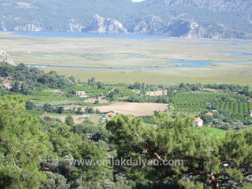 Feld Zu verkaufen in Çandır Bz. Köyceğiz - Feld-Zonierung - 1.252 m²