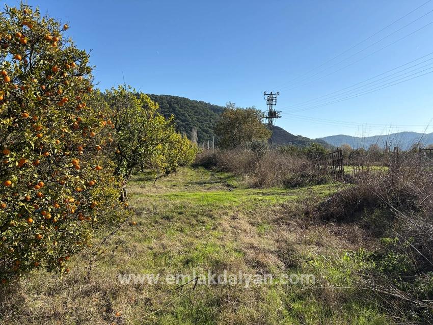 Feld Zu verkaufen in Tepearası Bz. Ortaca - Weinberg & garten-Zonierung - 23.000 m²