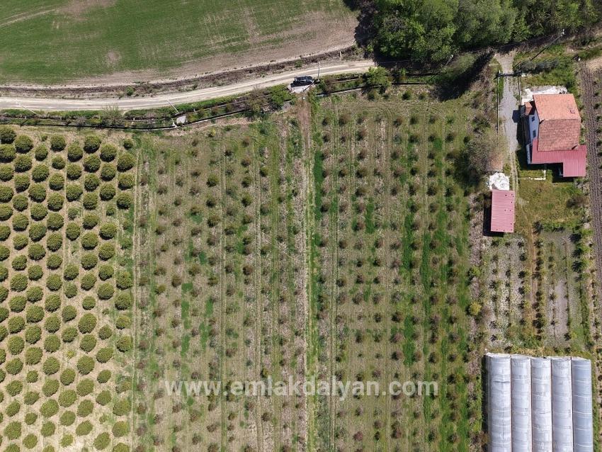 Feld Zu verkaufen in Eskiköy Bz. Ortaca - Feld-Zonierung - 16.000 m²