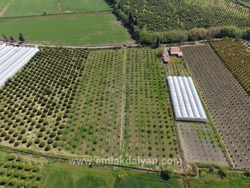 Feld Zu verkaufen in Eskiköy Bz. Ortaca - Feld-Zonierung - 16.000 m²