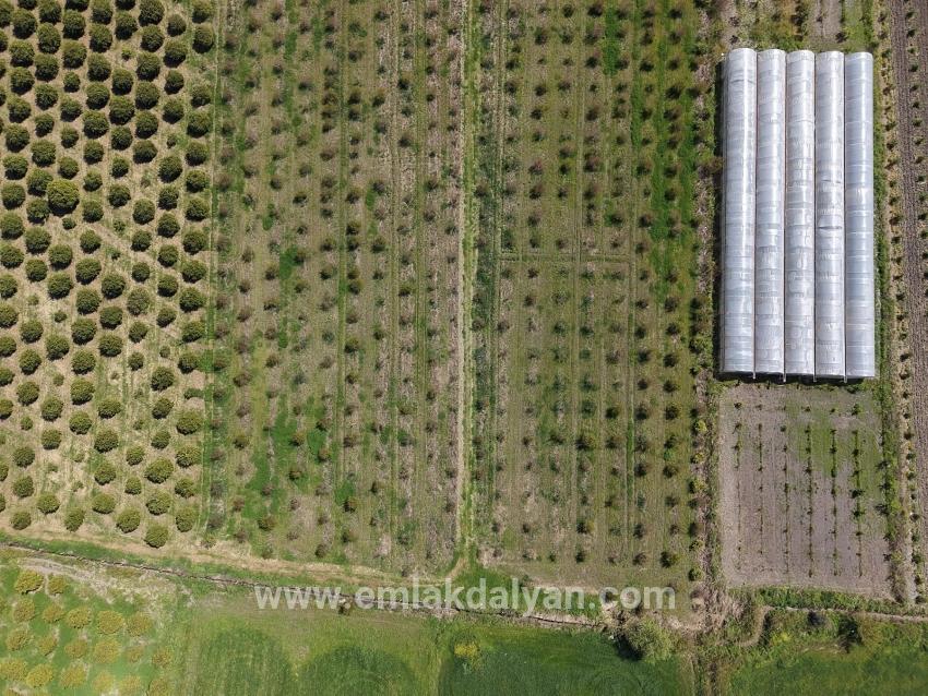 Feld Zu verkaufen in Eskiköy Bz. Ortaca - Feld-Zonierung - 16.000 m²
