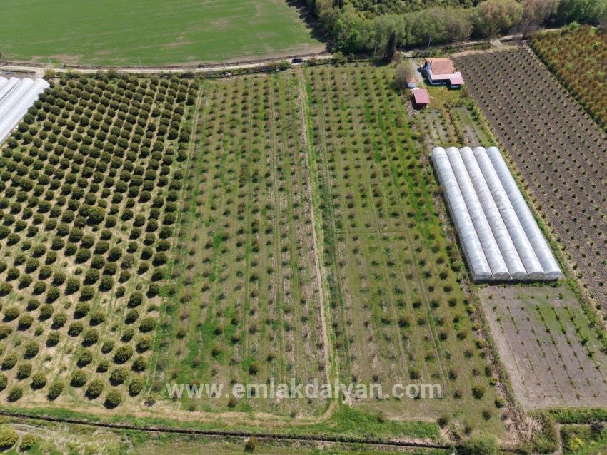 Feld Zu verkaufen in Eskiköy Bz. Ortaca - Feld-Zonierung - 16.000 m²