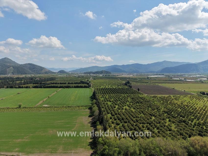 Feld Zu verkaufen in Eskiköy Bz. Ortaca - Feld-Zonierung - 16.000 m²