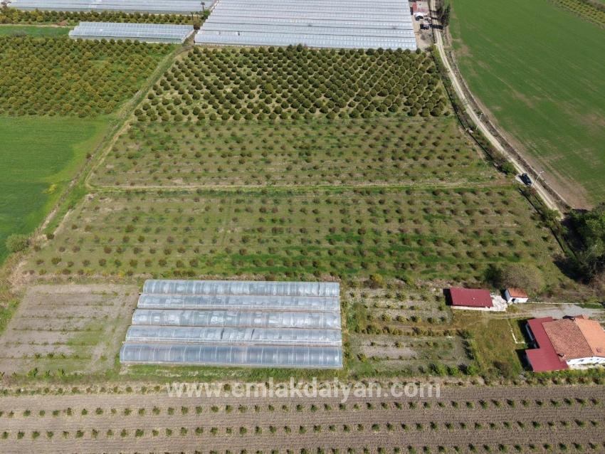 Feld Zu verkaufen in Eskiköy Bz. Ortaca - Feld-Zonierung - 16.000 m²