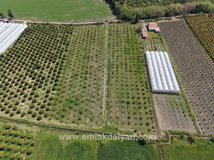 Feld Zu verkaufen in Eskiköy Bz. Ortaca - Feld-Zonierung - 16.000 m²