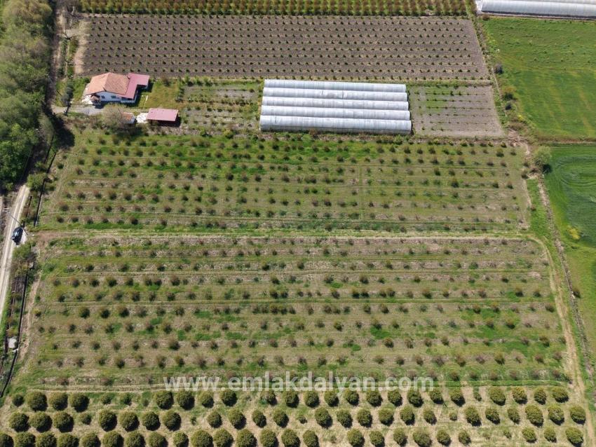 Feld Zu verkaufen in Eskiköy Bz. Ortaca - Feld-Zonierung - 16.000 m²