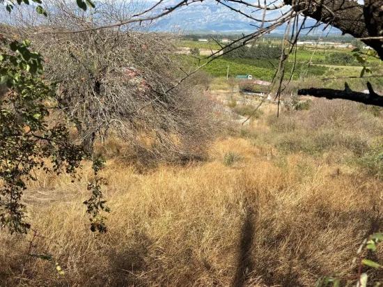 In Dalyan Karadağ Seeblick 5.000m2 zu verkaufen Acker