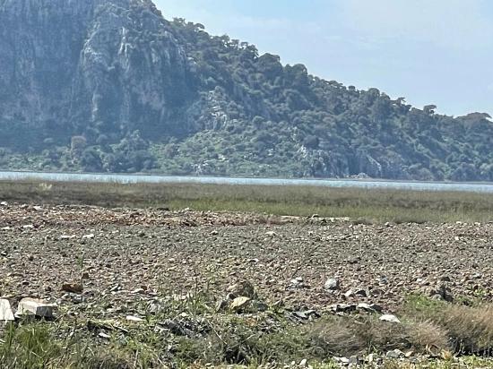 19.600 M² Großes Grundstück Zum Verkauf, Direkt An Der Straße Dalyan Iztuzu Beach Gelegen.