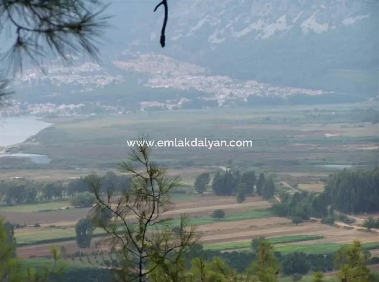 Gökçe Gökçe 21671M2 Bauernhof Zum Verkauf Zum Verkauf