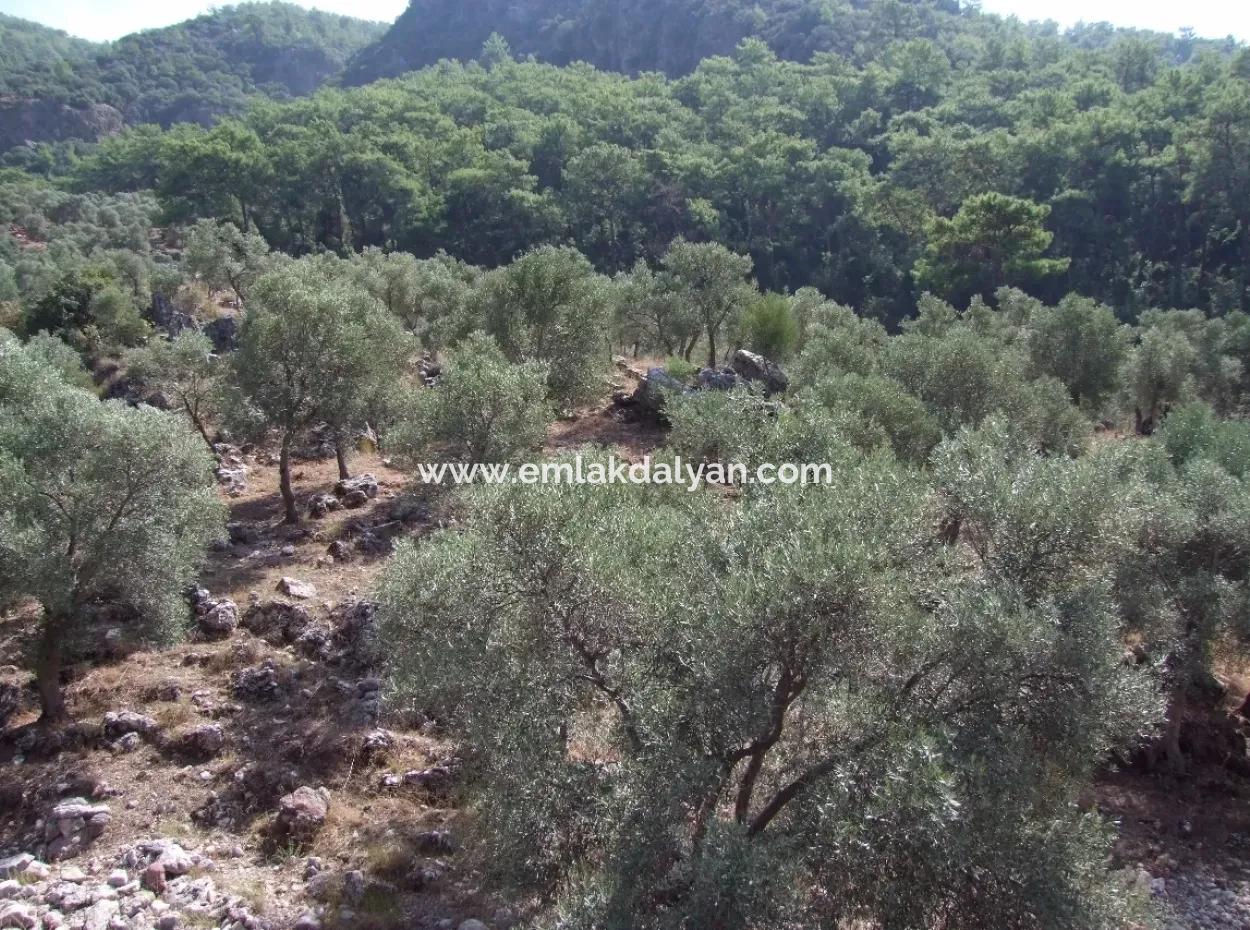 Mit Meerblick Zum Verkauf In Ekincik 5,391M2 Grundstück Zum Verkauf