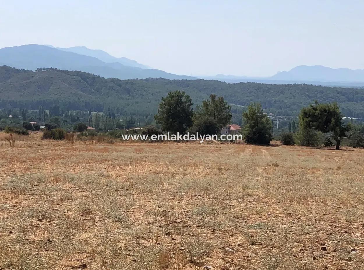 11.227M2 Grundstück Zum Verkauf Mit Seeblick In Köyceğiz Zeytinalan