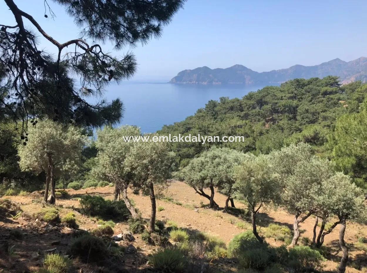 7034M2 Feld Zum Verkauf Mit Meerblick In Çandir