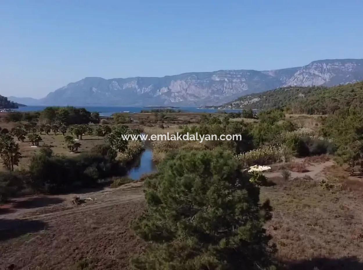 Land Zum Verkauf In 'Aml'da Marmaris 'Aml'da Meerblick 11720M2 Land Zu Verkaufen