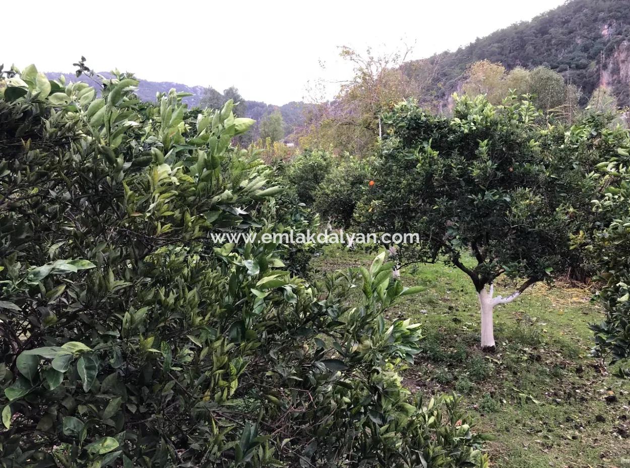 Eingeschossiges Einfamilienhaus Zum Verkauf In 1222M2 Grundstück In Archers