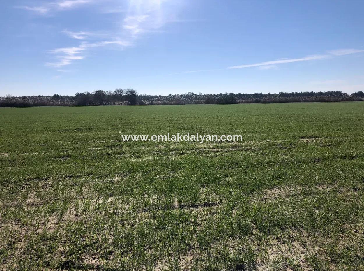 Land Zu Verkaufen In Sar'germede 30.000M2 Land Zum Verkauf Mit Meerblick