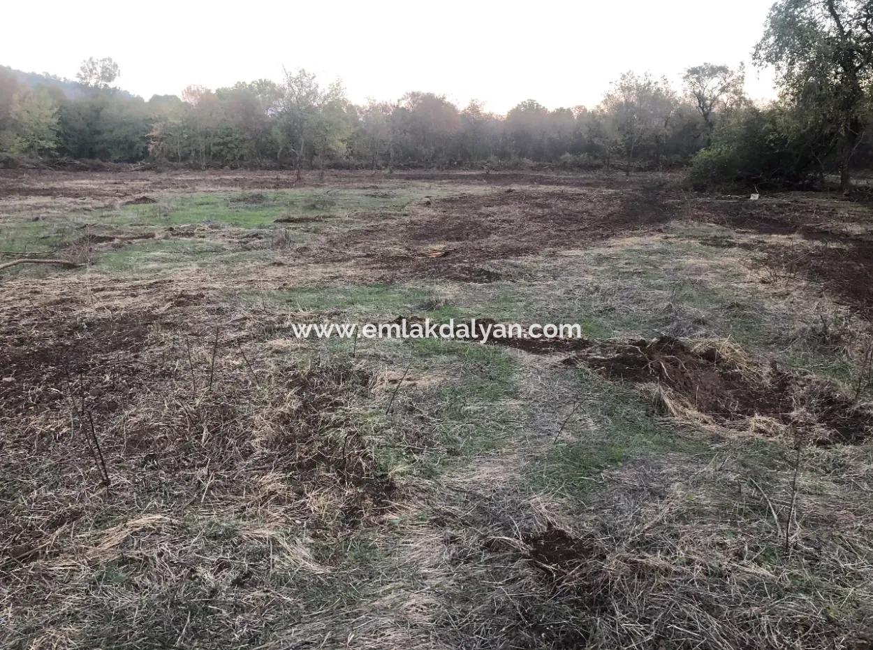 Sultaniye Land For Sale Near 10577M2 Lake Land For Sale