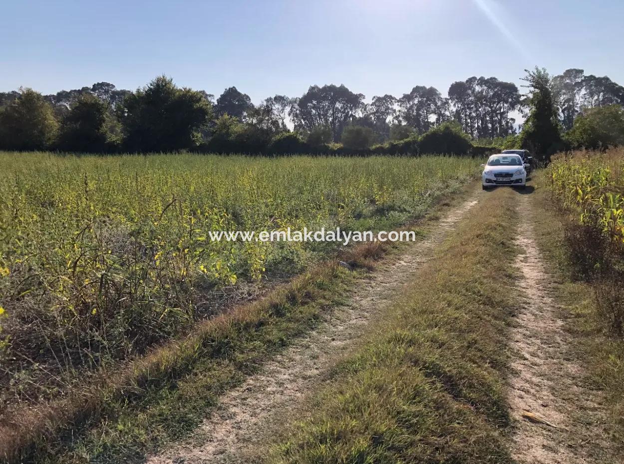 Field Zu Verkaufen In Ak'apinar 100 Acres Zu Verkaufen