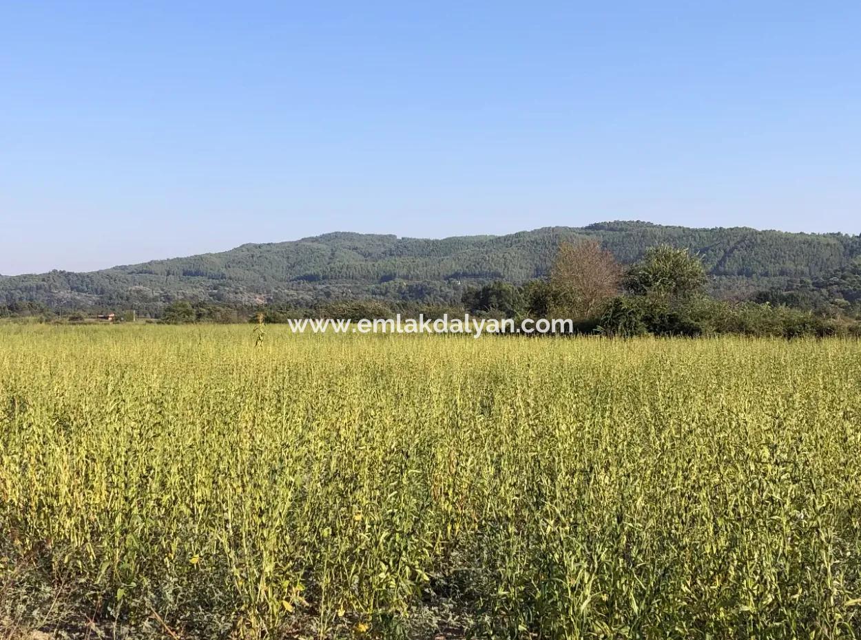 Field Zu Verkaufen In Ak'apinar 100 Acres Zu Verkaufen