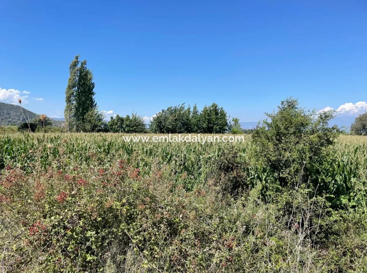 Dalyan Hauptstraße Null Grundstück Zum Verkauf 8115M2 Gewerbegrundstück Zum Verkauf