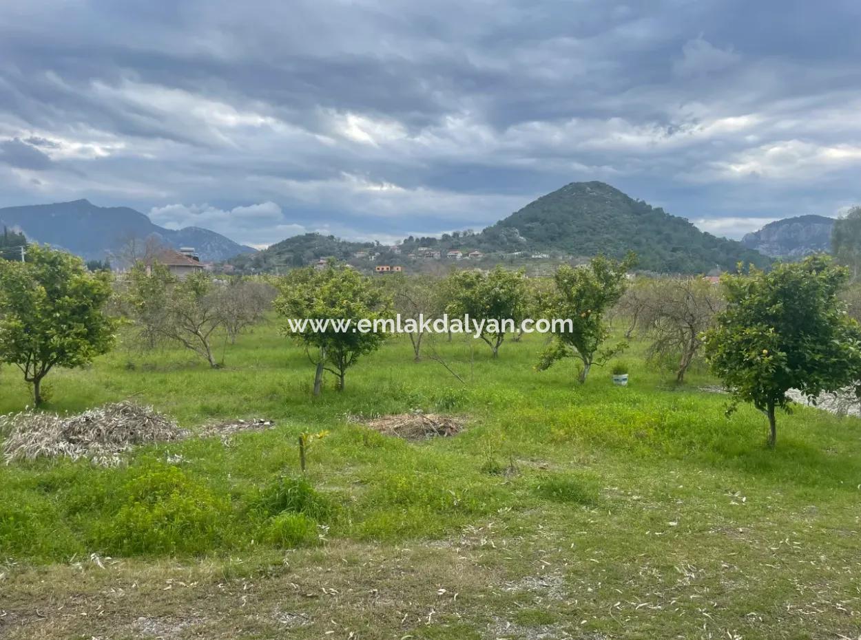 Dalyan Boutique Hotel Zum Verkauf Bungolevler Zum Verkauf In 11.000M2 Grundstück