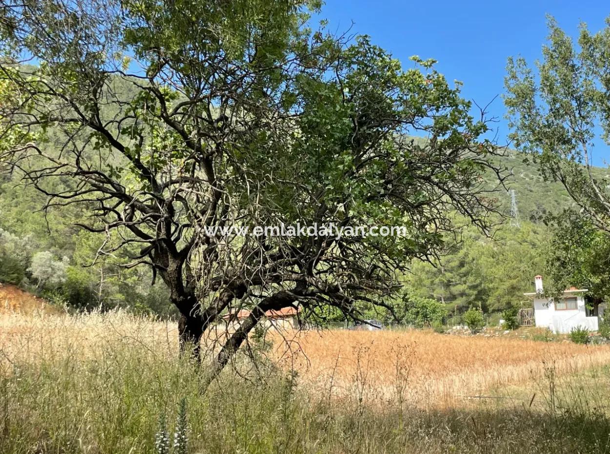 Grundstück Zum Verkauf In Ula Armutchuk Mit 501M2 Zonierung