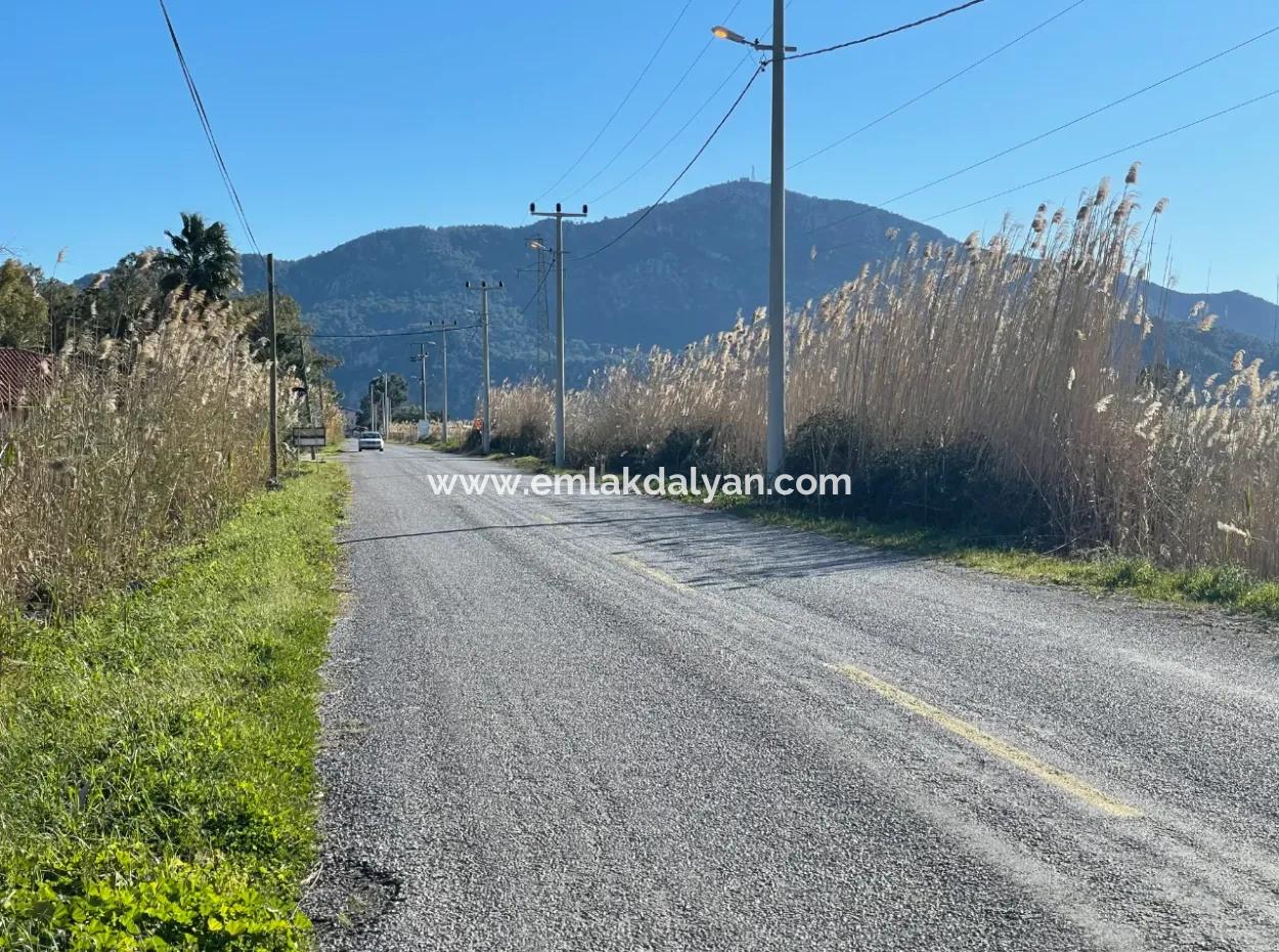 Dalyan Iztuzu Road Zero 5216M2 Feldgrundstück Zum Verkauf
