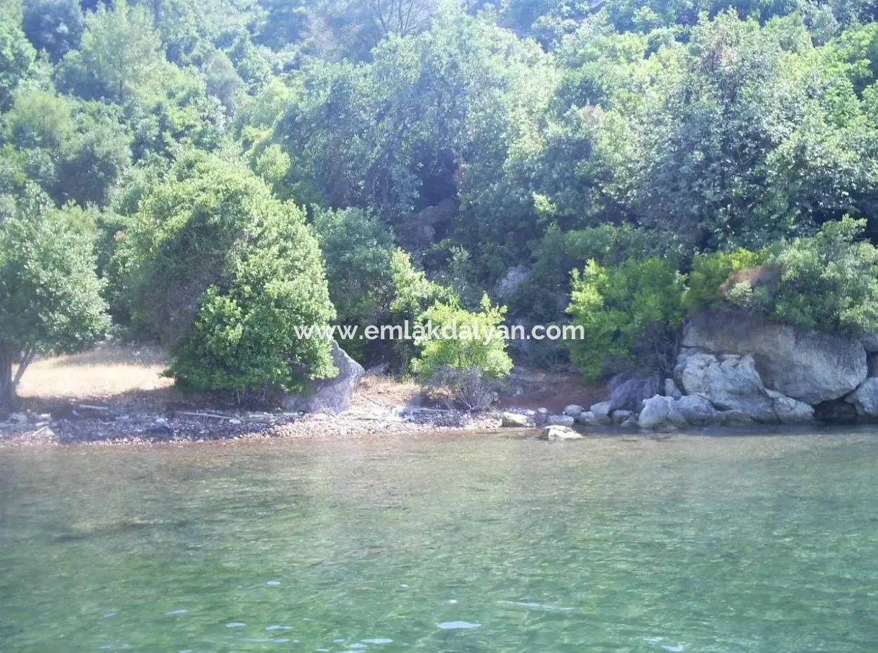 Marmaris Island Dorf Am Meer 4000M2 Land Zum Verkauf Marmaris Schnäppchen Land Zum Verkauf Auf Dem Seeweg