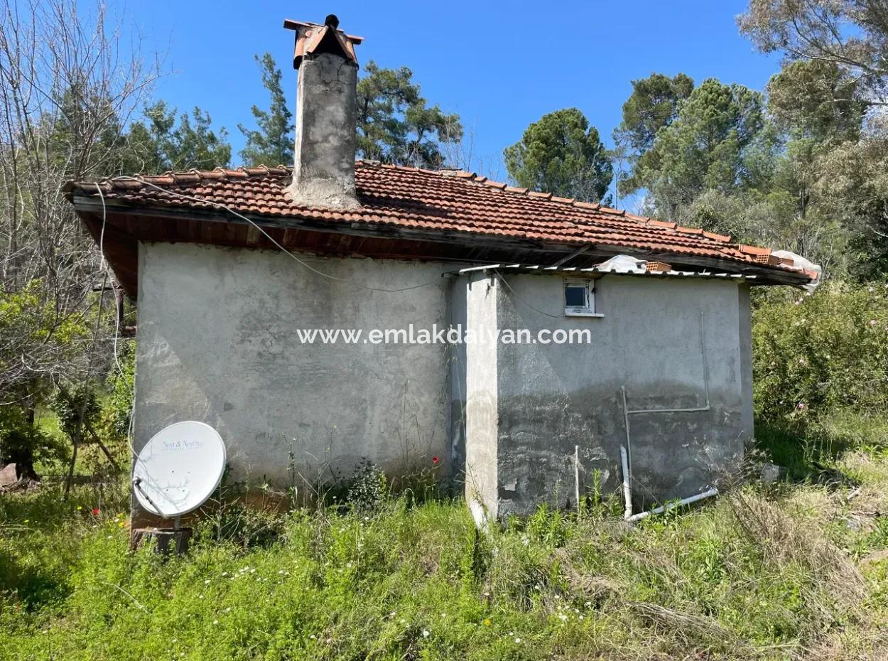 Mehrfamilienhaus Zum Verkauf In 5650M2 Feld In Zeytinalann