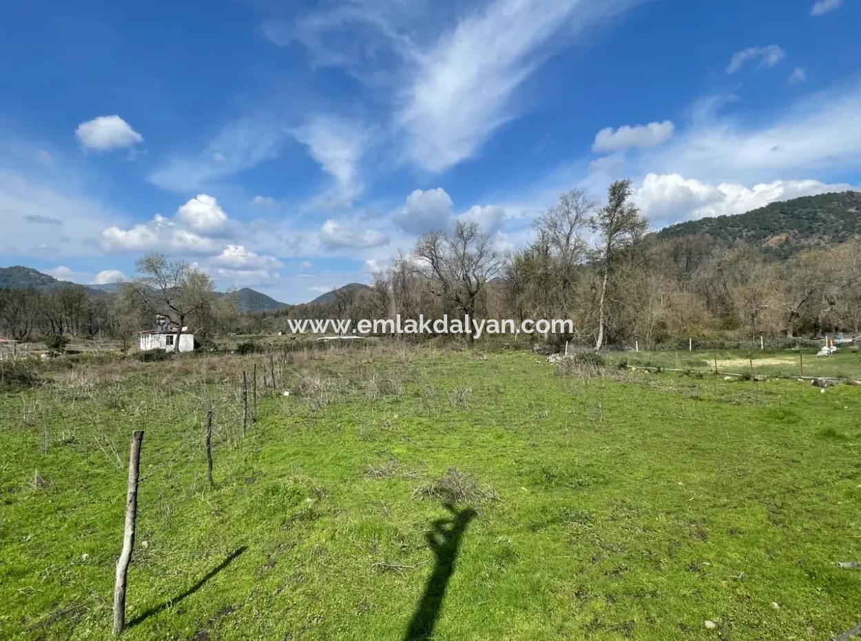 Sultaniye Büyükkaraç Mahallesin Gebraucht Kaufen Feld