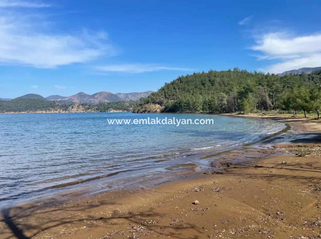 Sultaniye Büyükkaraç Mahallesin Gebraucht Kaufen Feld