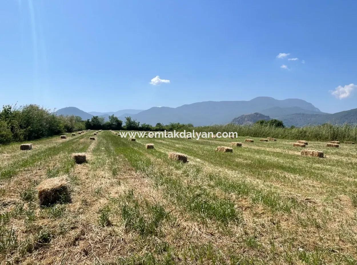 6.500 M2 Feld Zum Verkauf An Der Iztuzu-Straße In Dalyan