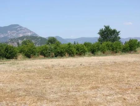 Grundstück Zum Verkauf An Der Ecke Von 540M2 In Okcular