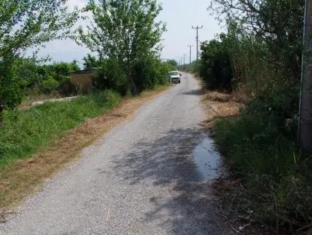 Bauernhof Zum Verkauf In Dalyan Eskikoy Eskikoy Oriya 14,900M2 Grundstück Zu Verkaufen Feld