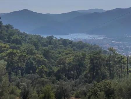 Tourismus-Zonen Grundstücke Zum Verkauf In Göcek Mit Meerblick Zum Verkauf In Gocek