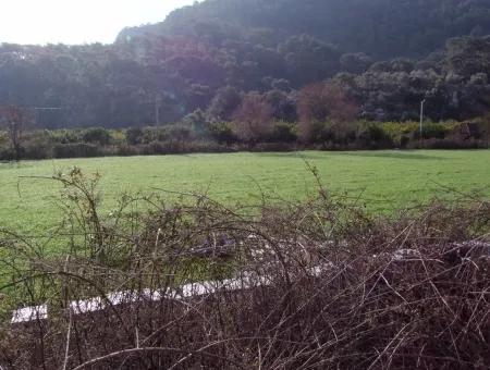 Zum Verkauf In Koycegiz, Dalyan Grundstück Zum Verkauf 10629M2