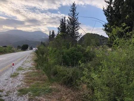 Bauernhof Zum Verkauf In Dalyan Grundstück Zum Verkauf In Highway Null 9029M2