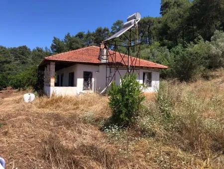 Garten Zum Verkauf In Gokce Akyaka, In Der Nähe Vom Meer, 38,000M2 Grundstück Zum Verkauf