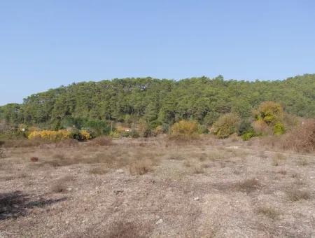 6850M2 Zonierungland Mit Meerblick In 'Aml'