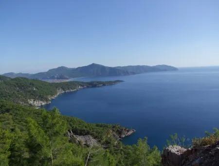 Immobilien-Schnäppchen-Grundstück Zu Verkaufen Mit Meerblick In Çandır Anruf In Ekincik