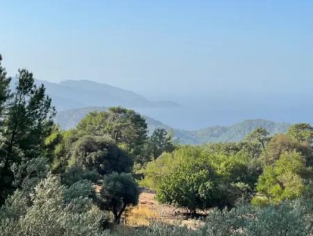 2620M2 Grundstück Zum Verkauf Mit Meerblick Von Çandir