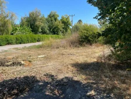 1000M2 Grundstück Zum Verkauf In Dalyan Gülpinar Ecke