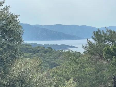 Olivenhaus Mit Meerblick In Ekincik Steht Zum Verkauf