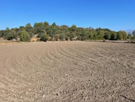 6254M2 Feld Zum Verkauf In Der Nähe Von Dalyan In Eskiköy